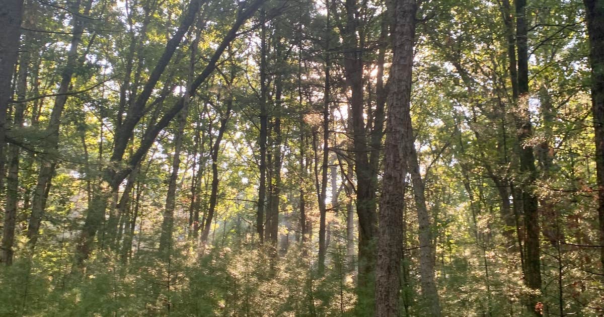 Castle Mound Campground — Black River State Forest