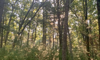 Camping near McMullen County Park: Castle Mound Campground — Black River State Forest, Black River Falls, Wisconsin