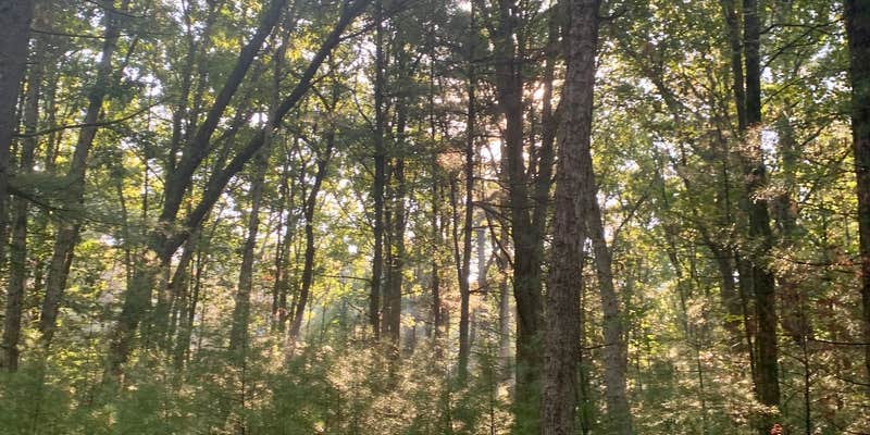 Camper submitted image from Castle Mound Campground — Black River State Forest