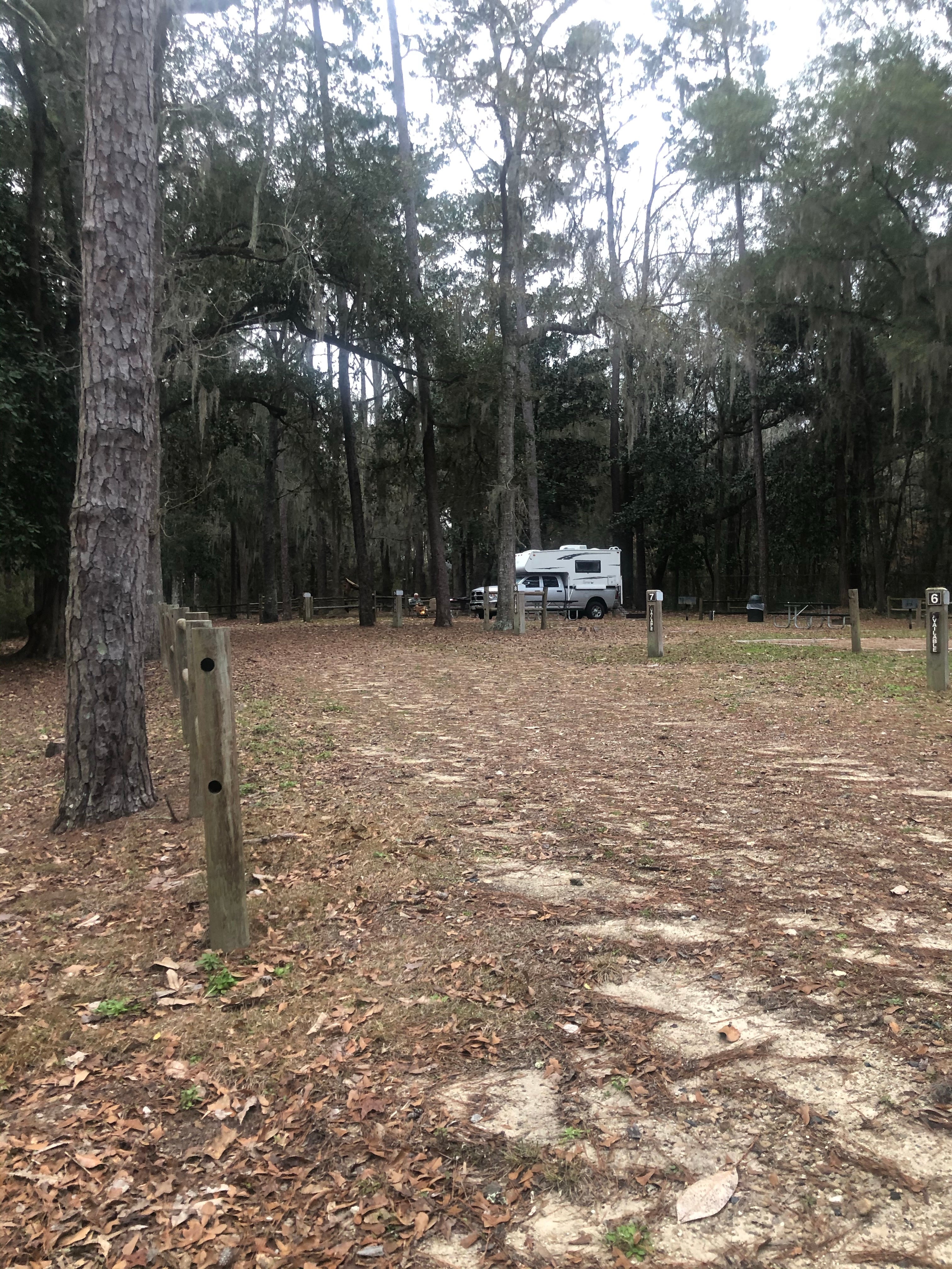 Camper submitted image from Williams Landing Campground - 3