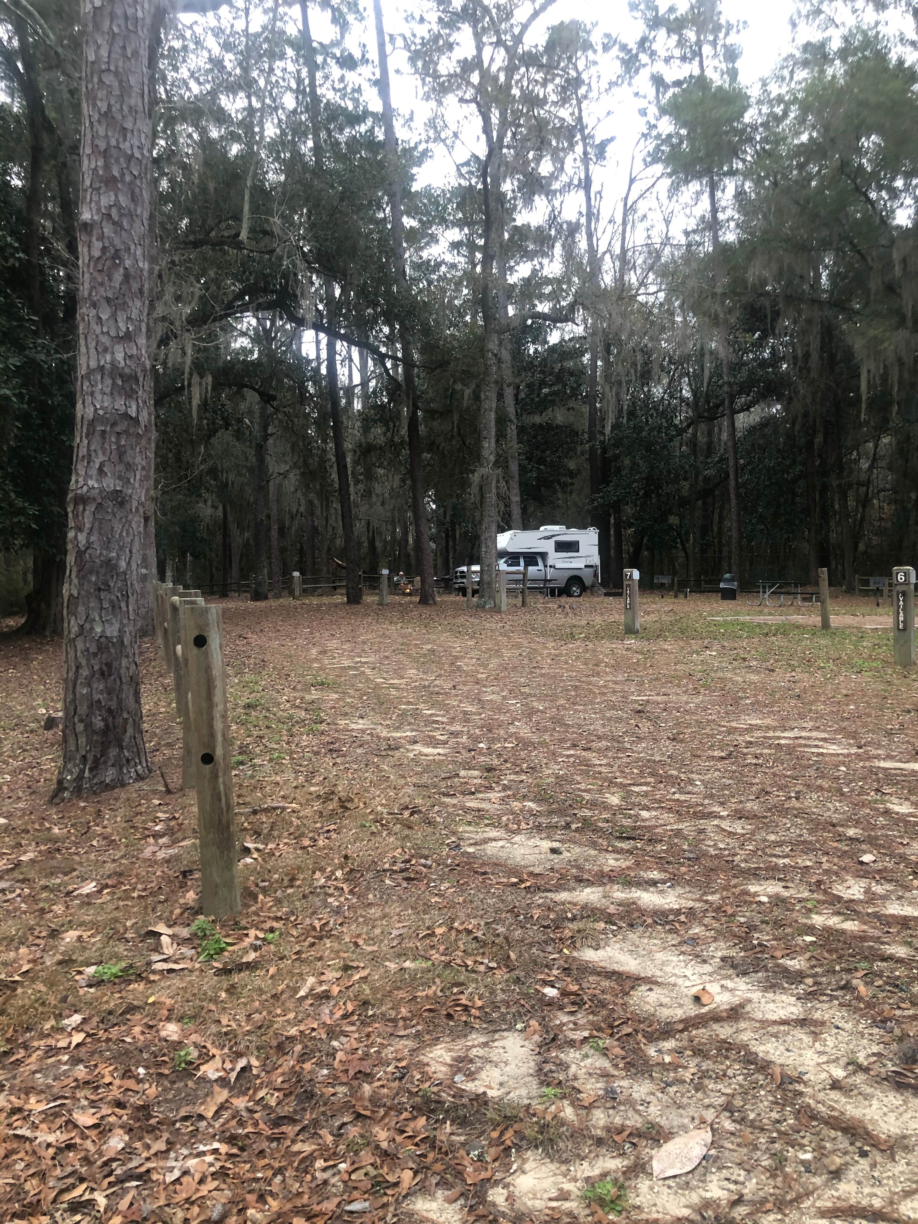 Camper submitted image from Williams Landing Campground - 3