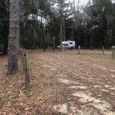 Review photo of Williams Landing Campground by Cyndi H., January 31, 2021