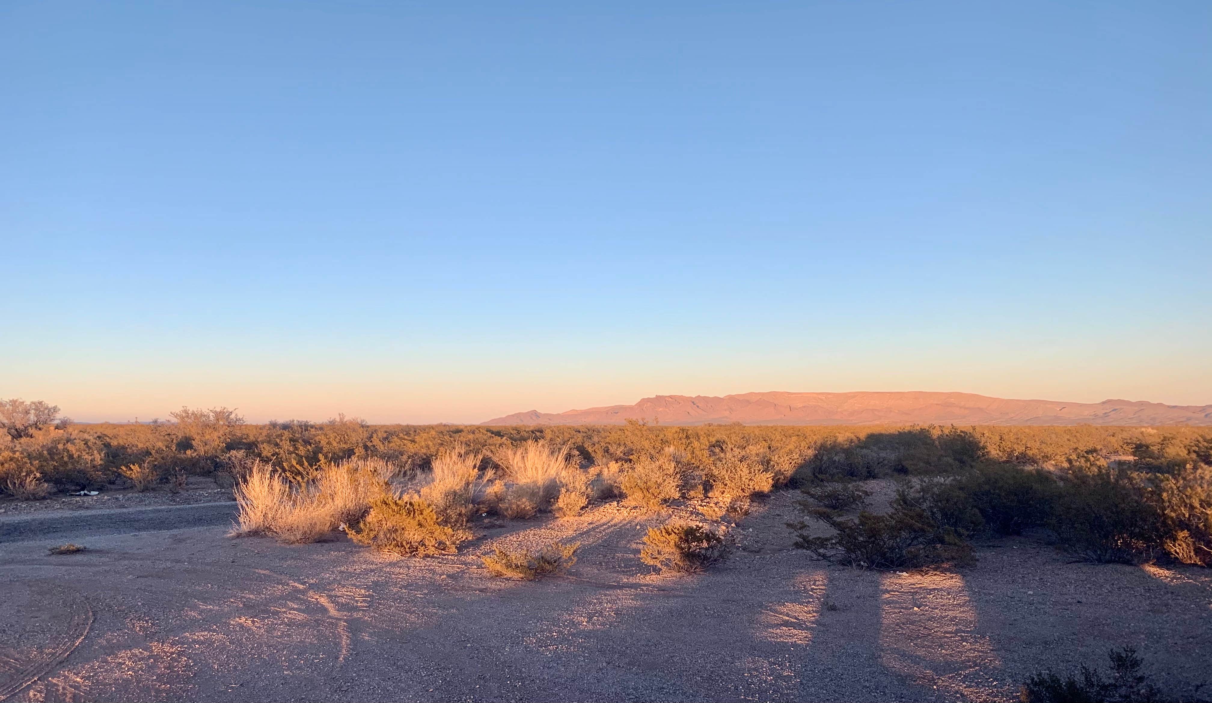 Camper-submitted photo at Monticello Road Dispersed Camping near Elephant Butte, NM