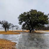 Review photo of Lake Brownwood State Park Campground by Shari  G., January 31, 2021