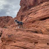 Review photo of Atlatl Rock Campground — Valley of Fire State Park by Jody S., January 31, 2021