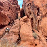 Review photo of Atlatl Rock Campground — Valley of Fire State Park by Jody S., January 31, 2021