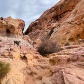 Review photo of Atlatl Rock Campground — Valley of Fire State Park by Jody S., January 31, 2021