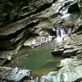 Review photo of Watkins Glen State Park Campground by Rachel P., May 28, 2018