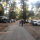 Review photo of Jekyll Island Campground by Ashlee R., January 31, 2021