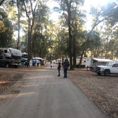 Review photo of Jekyll Island Campground by Ashlee R., January 31, 2021