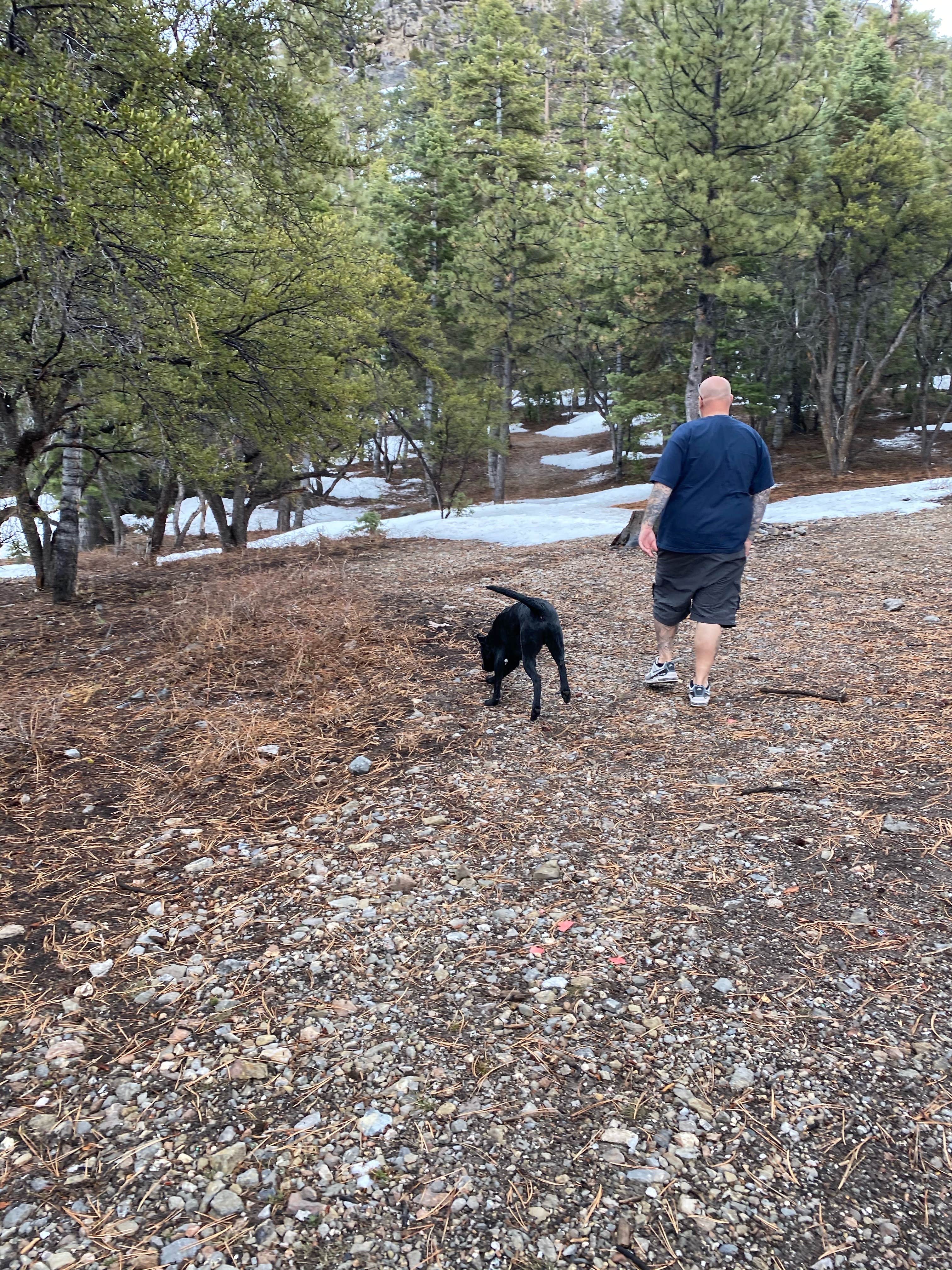 Camper-submitted photo at Champion Road Dispersed Campsites near Las Vegas, NV