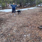 Review photo of Champion Road Dispersed Campsites by Brittney  C., January 31, 2021