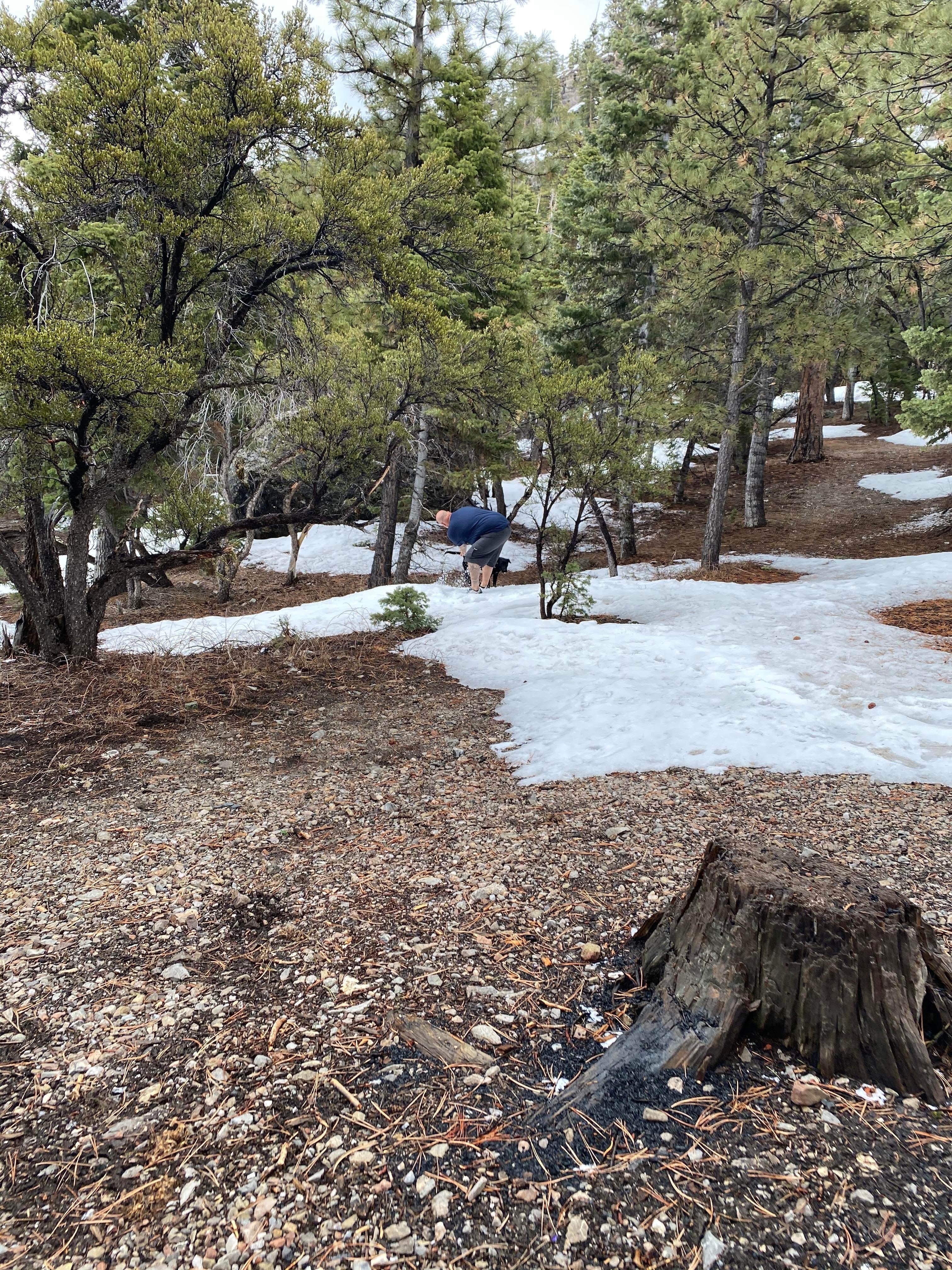 Camper-submitted photo at Champion Road Dispersed Campsites near Indian Springs, NV
