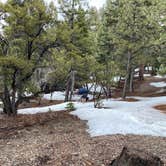 Review photo of Champion Road Dispersed Campsites by Brittney  C., January 31, 2021