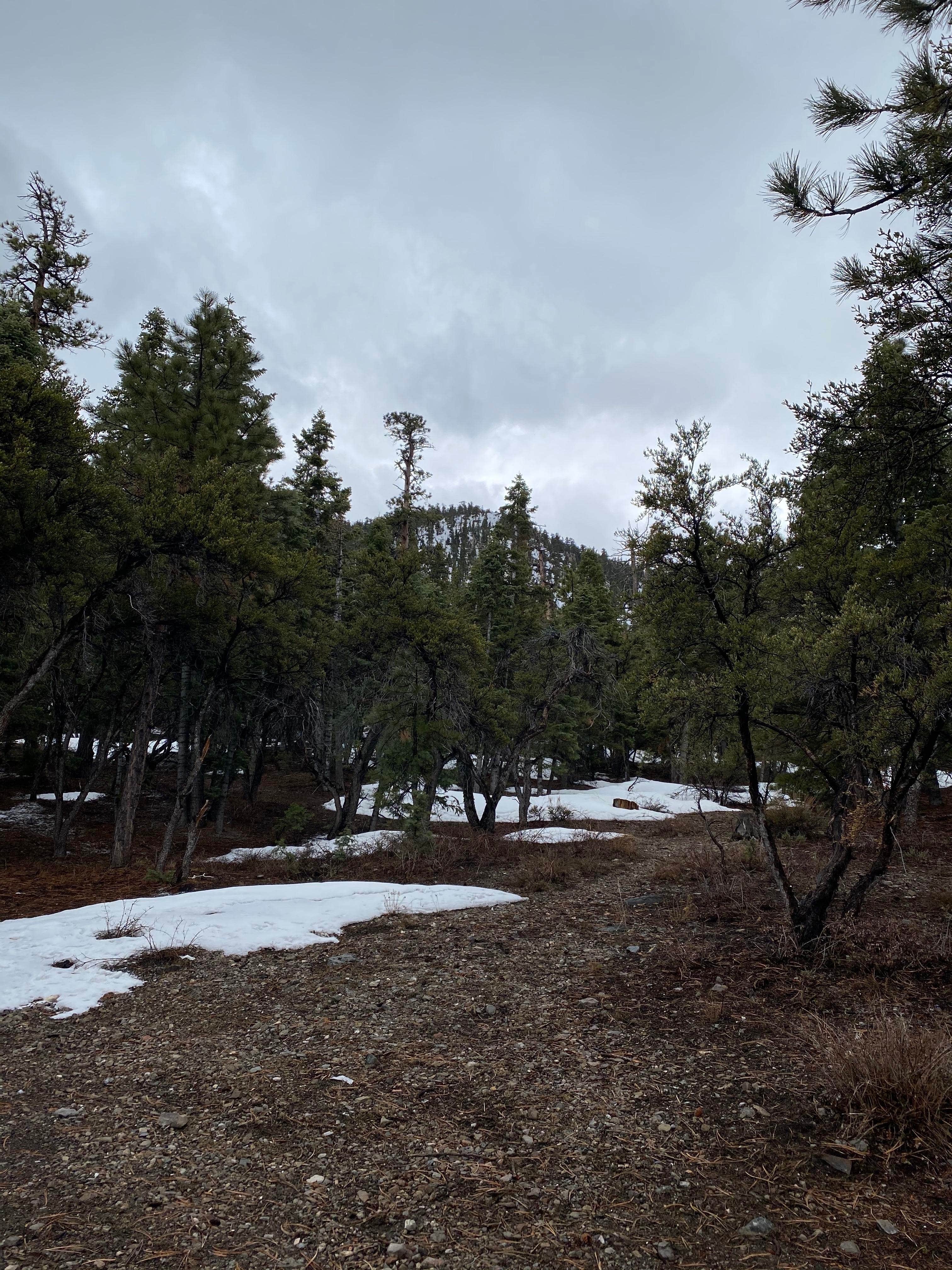 Camper-submitted photo at Champion Road Dispersed Campsites near Las Vegas, NV