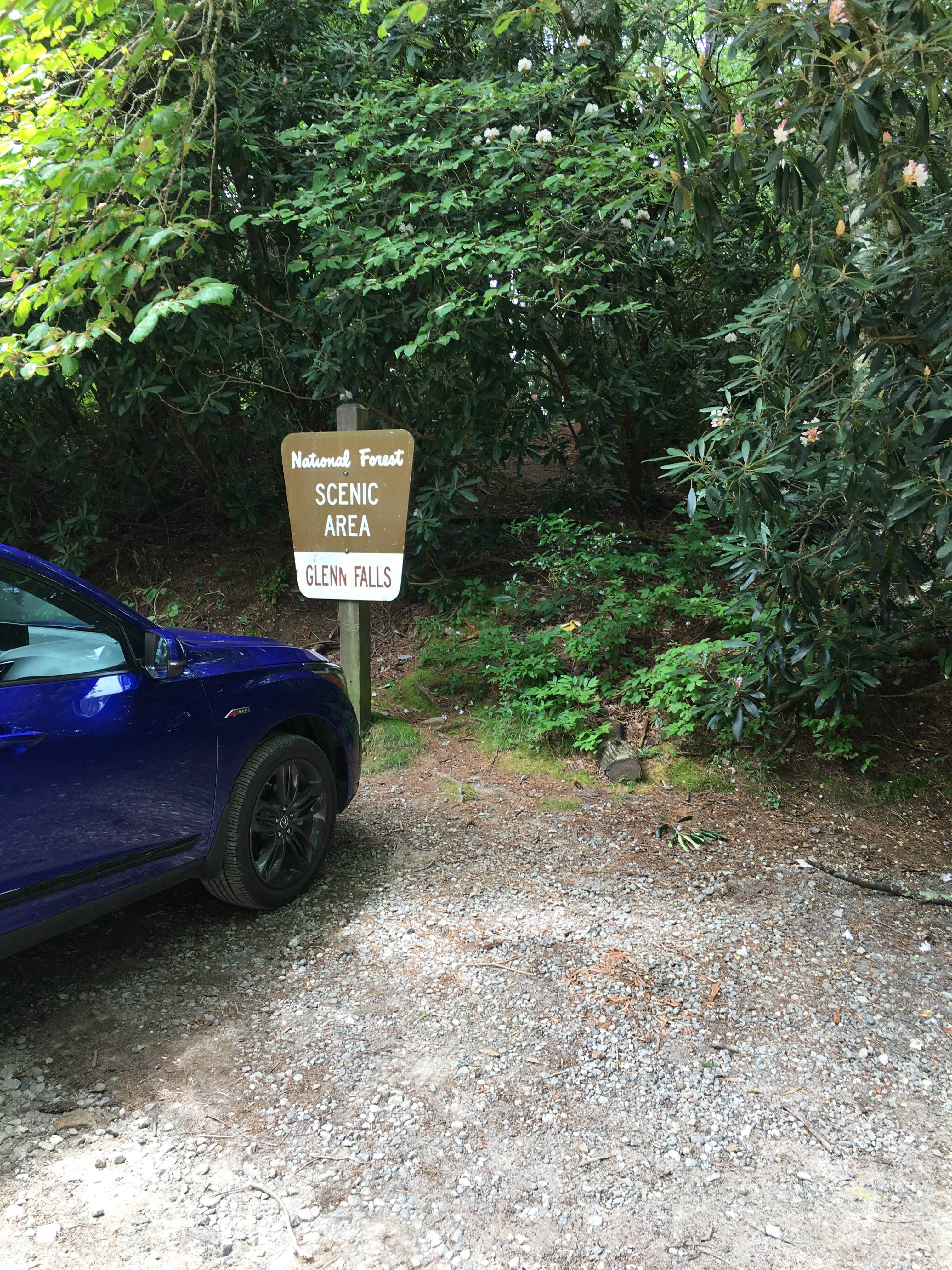 Camping near Van Hook Glade: Glen Falls Trailhead Campsite, Highlands, North Carolina