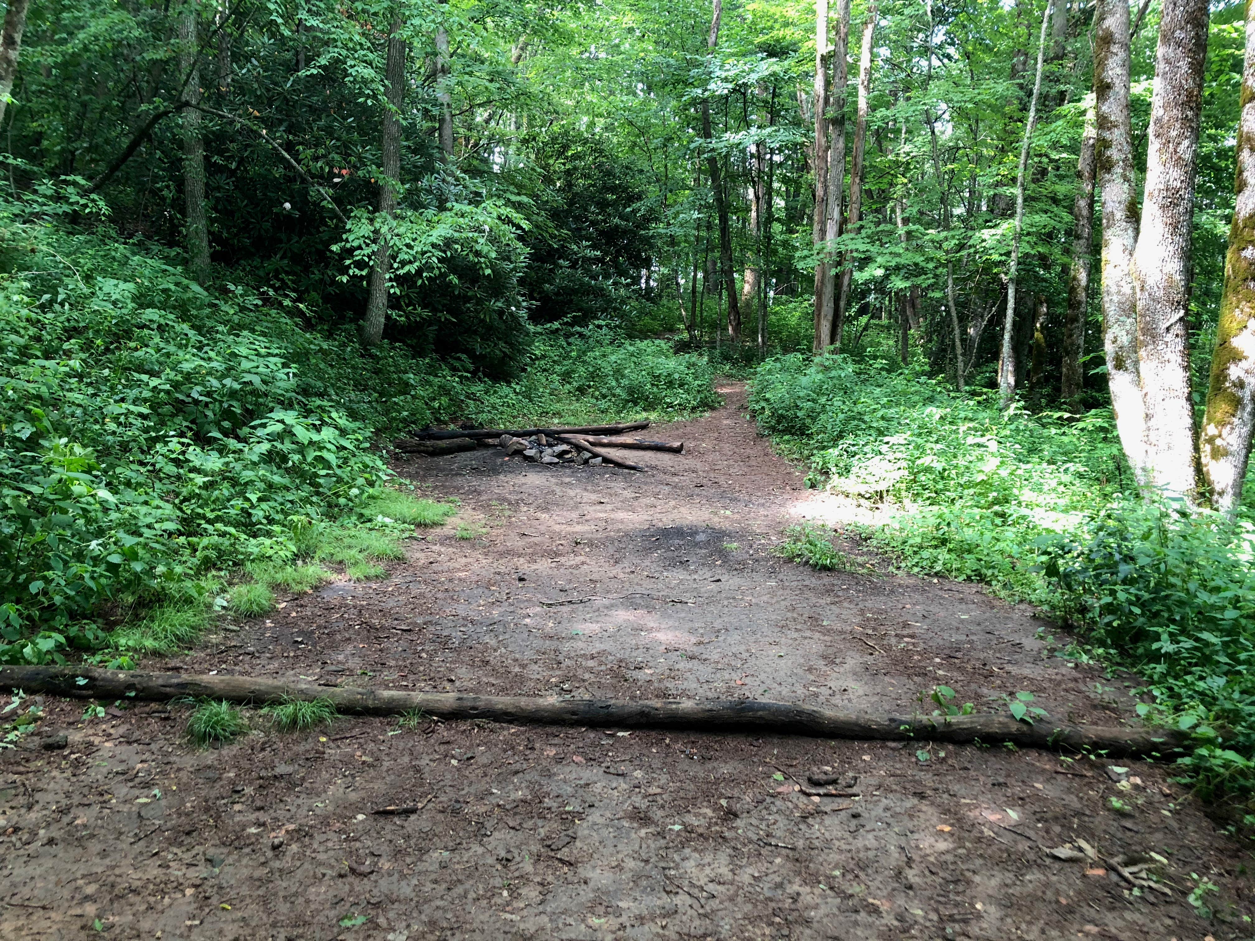 Camper-submitted photo at Mooney Gap Backcountry Group Campsite near Otto, NC