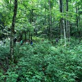 Review photo of Mooney Gap Backcountry Group Campsite by Asher K., January 31, 2021