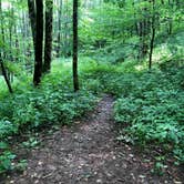 Review photo of Mooney Gap Backcountry Group Campsite by Asher K., January 31, 2021