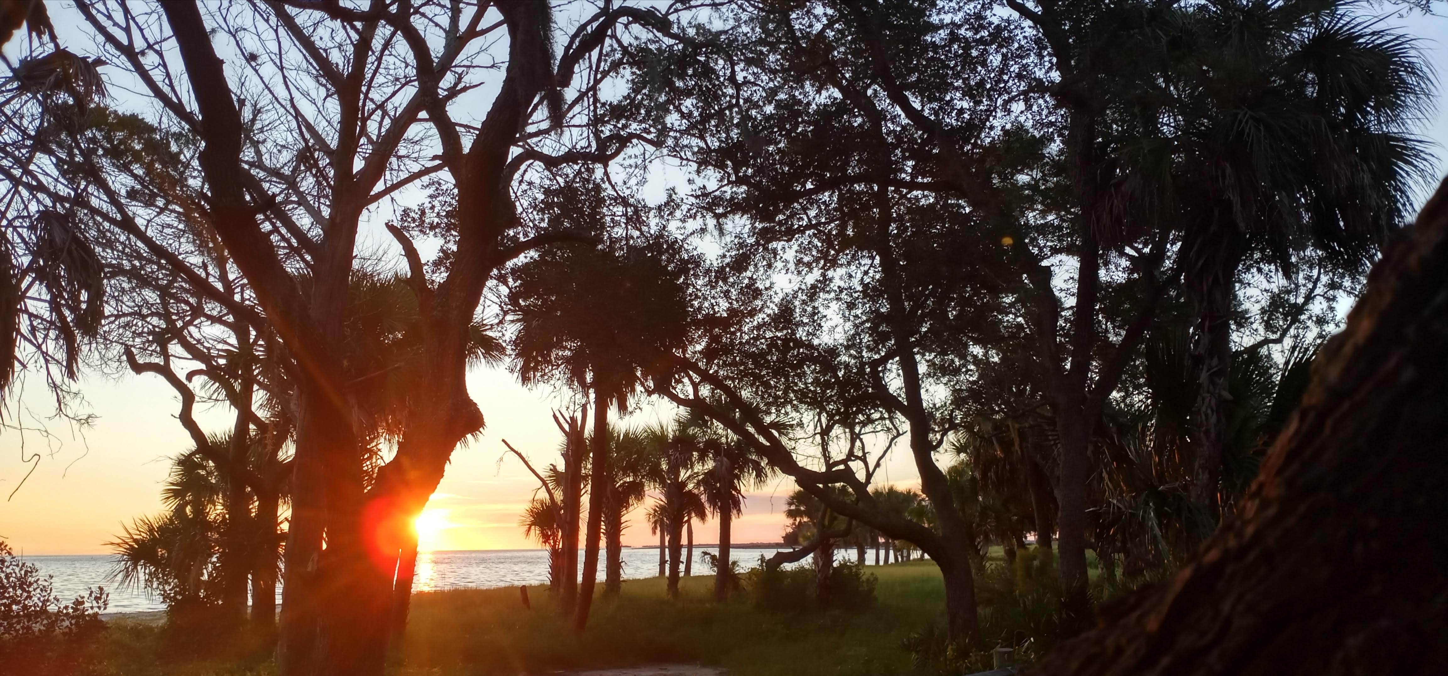 Camper-submitted photo at Shired Island Campground near Cedar Key, FL