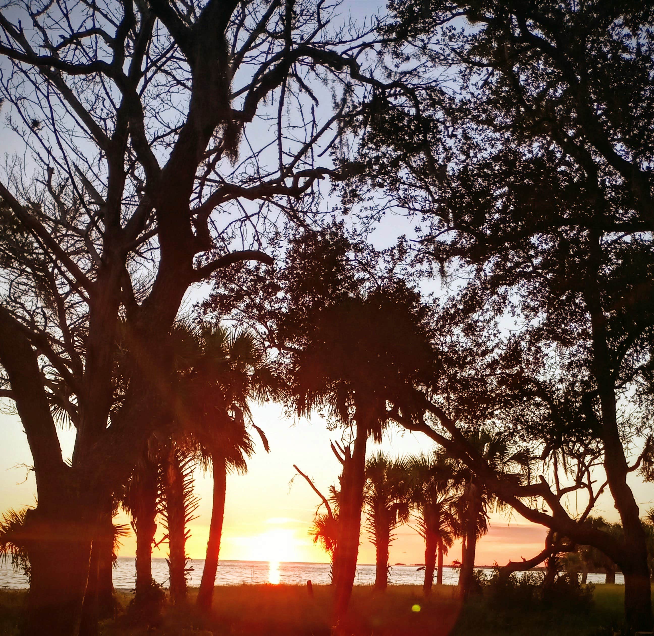 View All