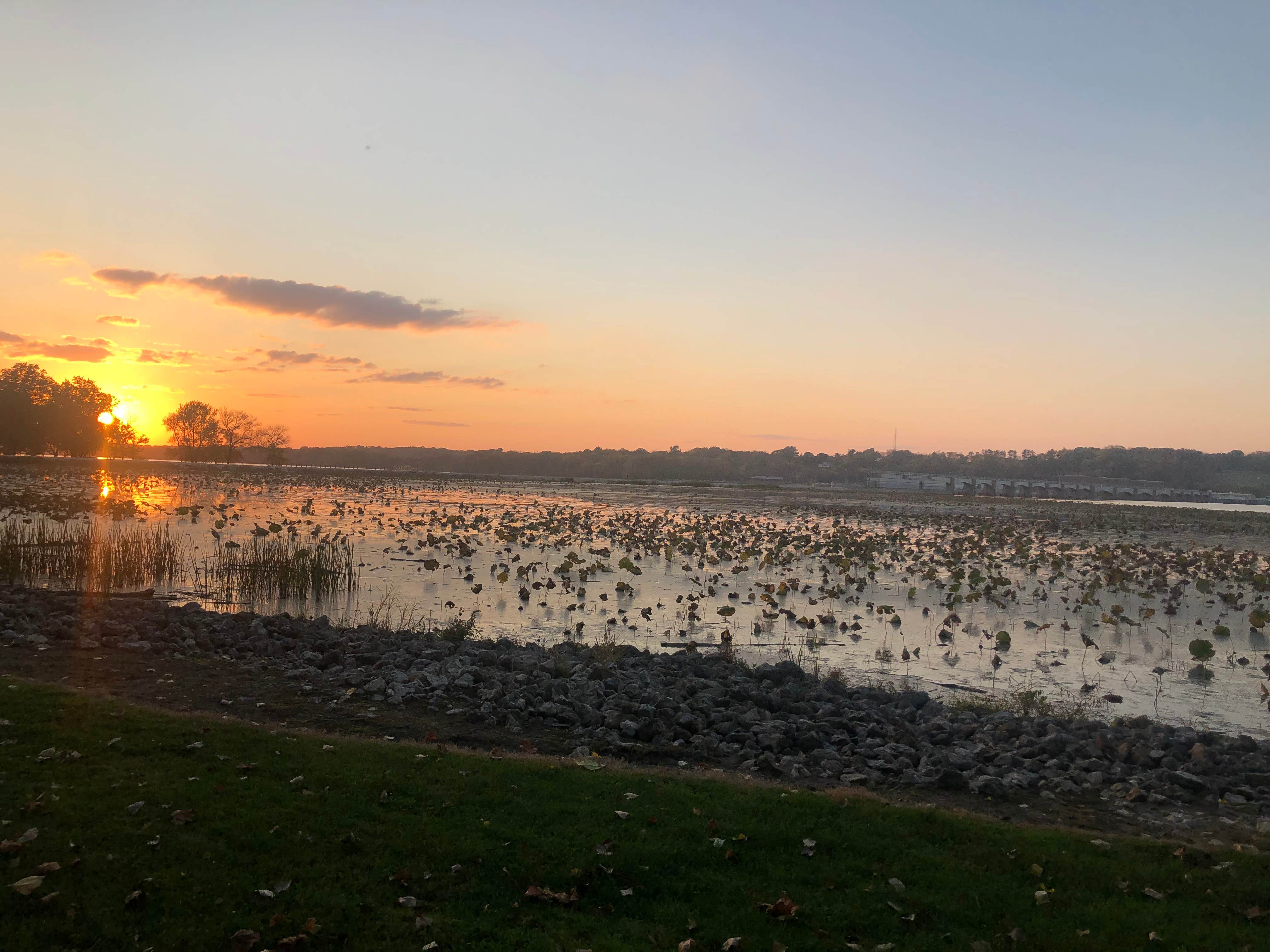 Camper-submitted photo at Fishermans Corner - Mississippi River near Oxford Junction, IA