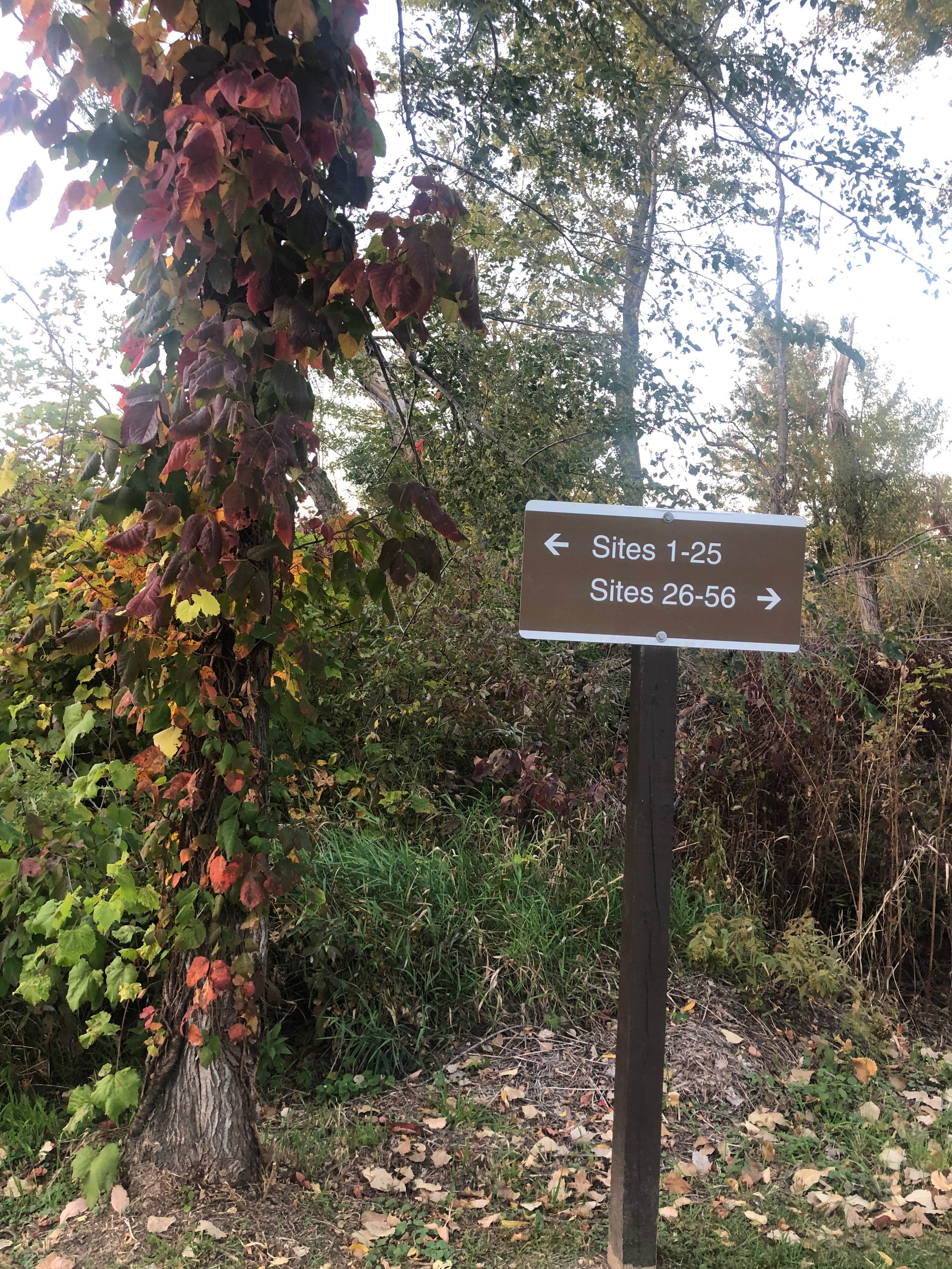 Camper-submitted photo at Fishermans Corner - Mississippi River near Oxford Junction, IA