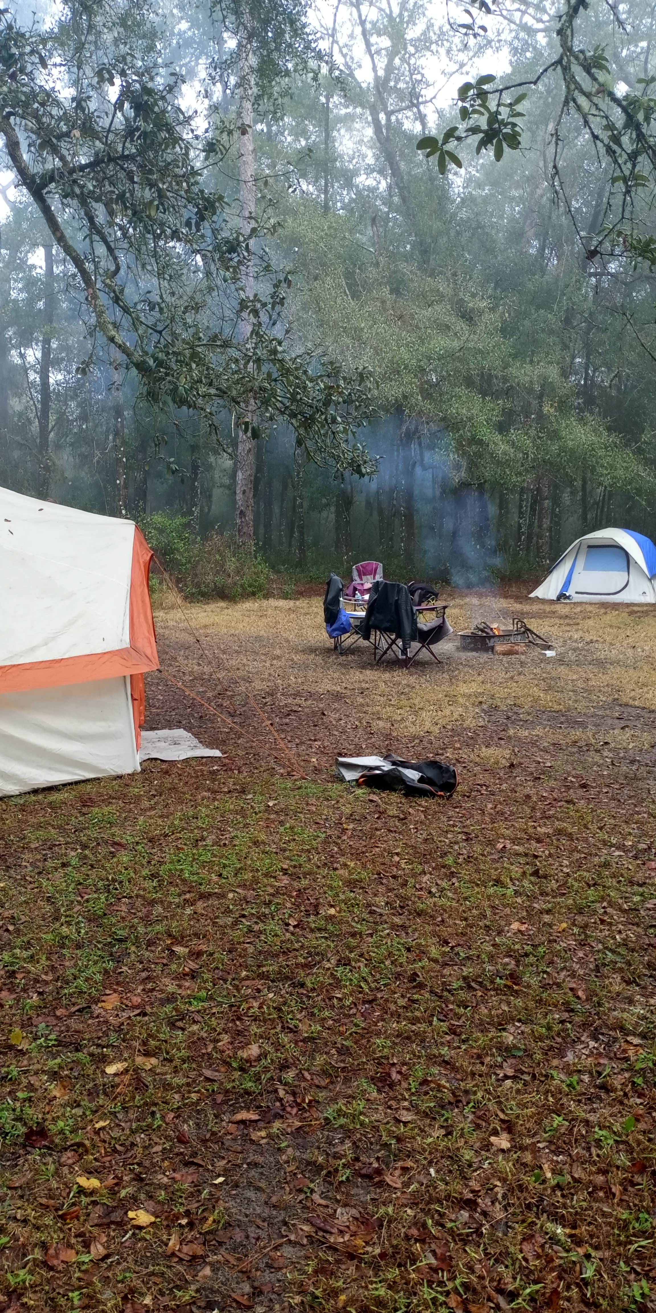 Camper-submitted photo at Cypress Glen Campground near Lake Panasoffkee, FL