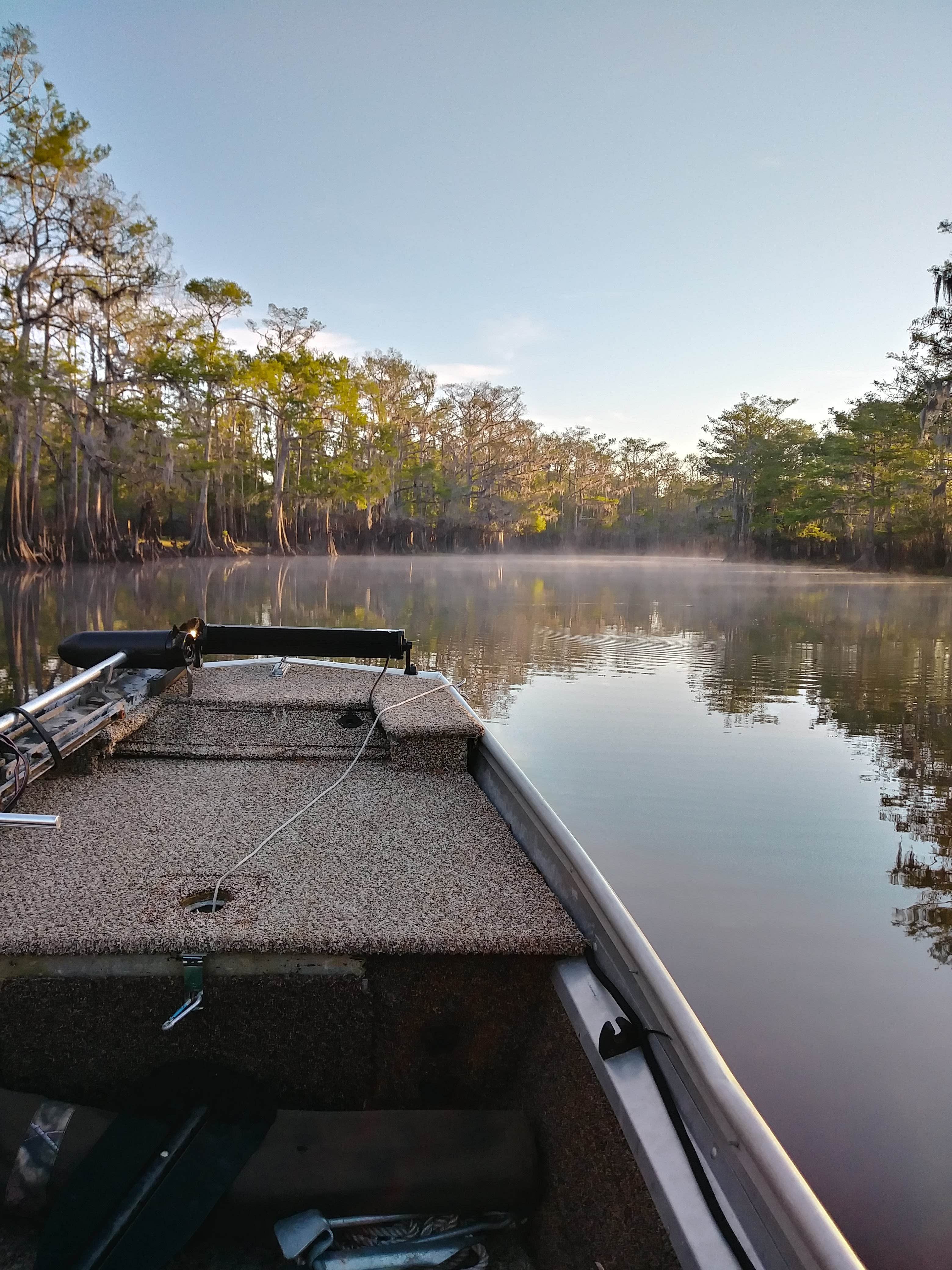 Camper submitted image from Lemon Bluff Campground - 1