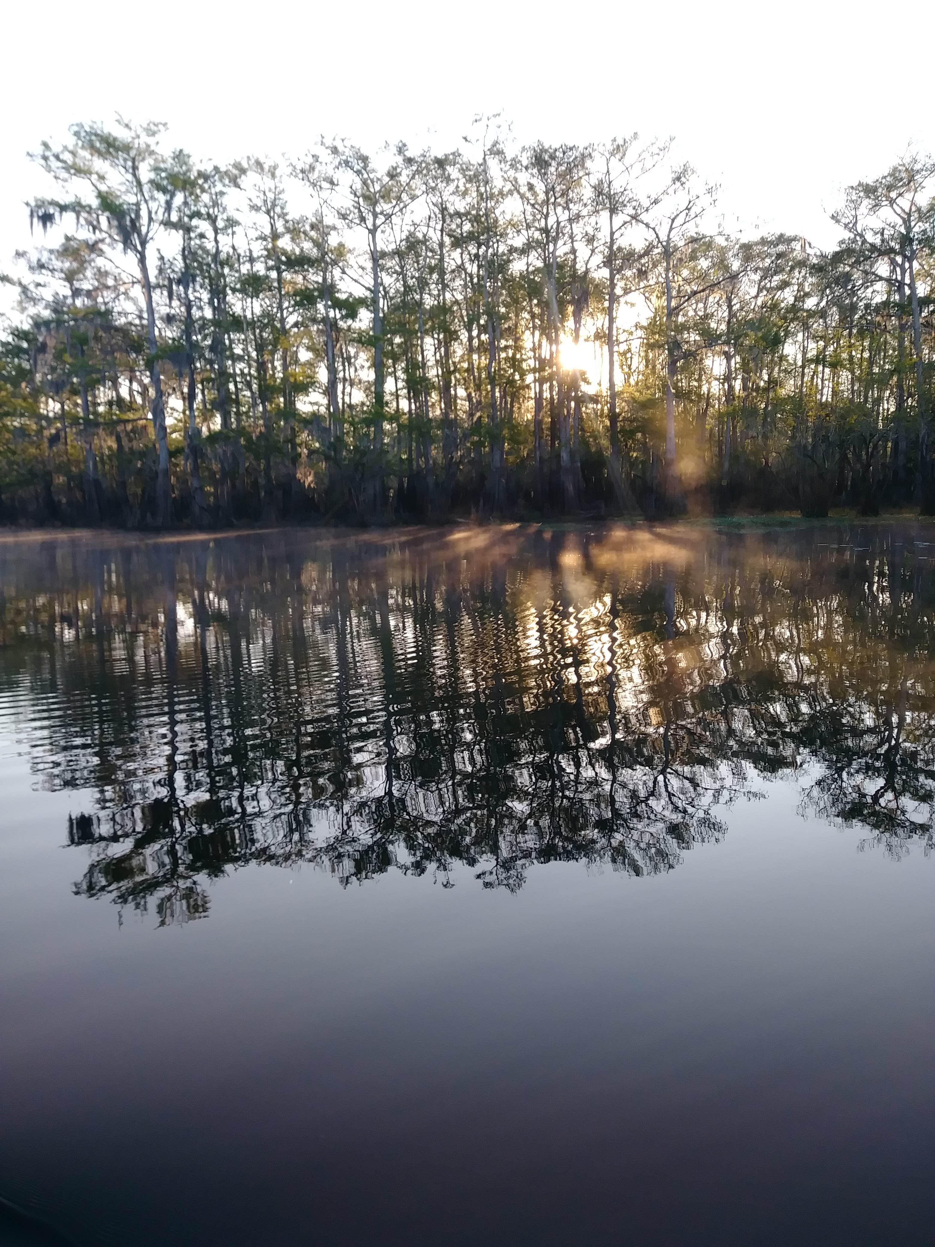 Camper submitted image from Lemon Bluff Campground - 3