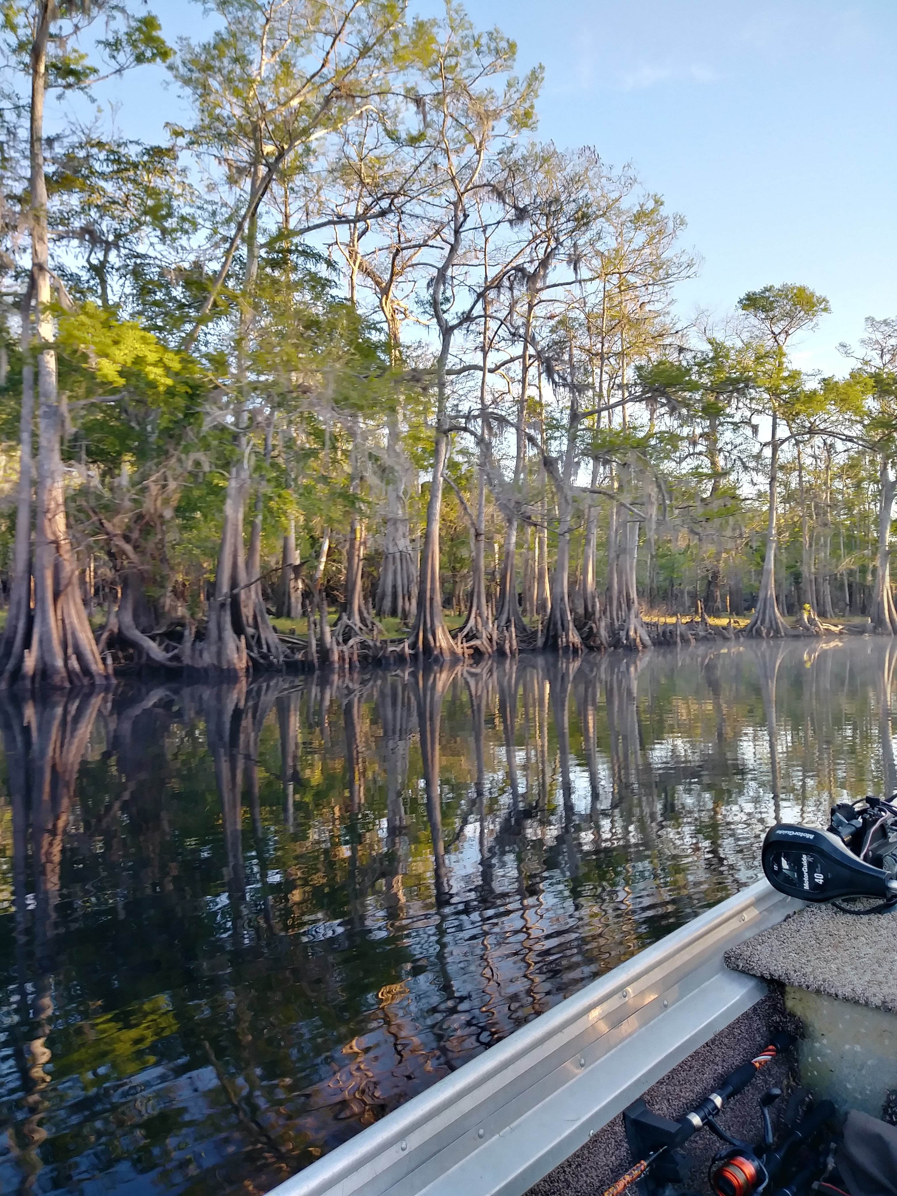 Camper submitted image from Lemon Bluff Campground - 2