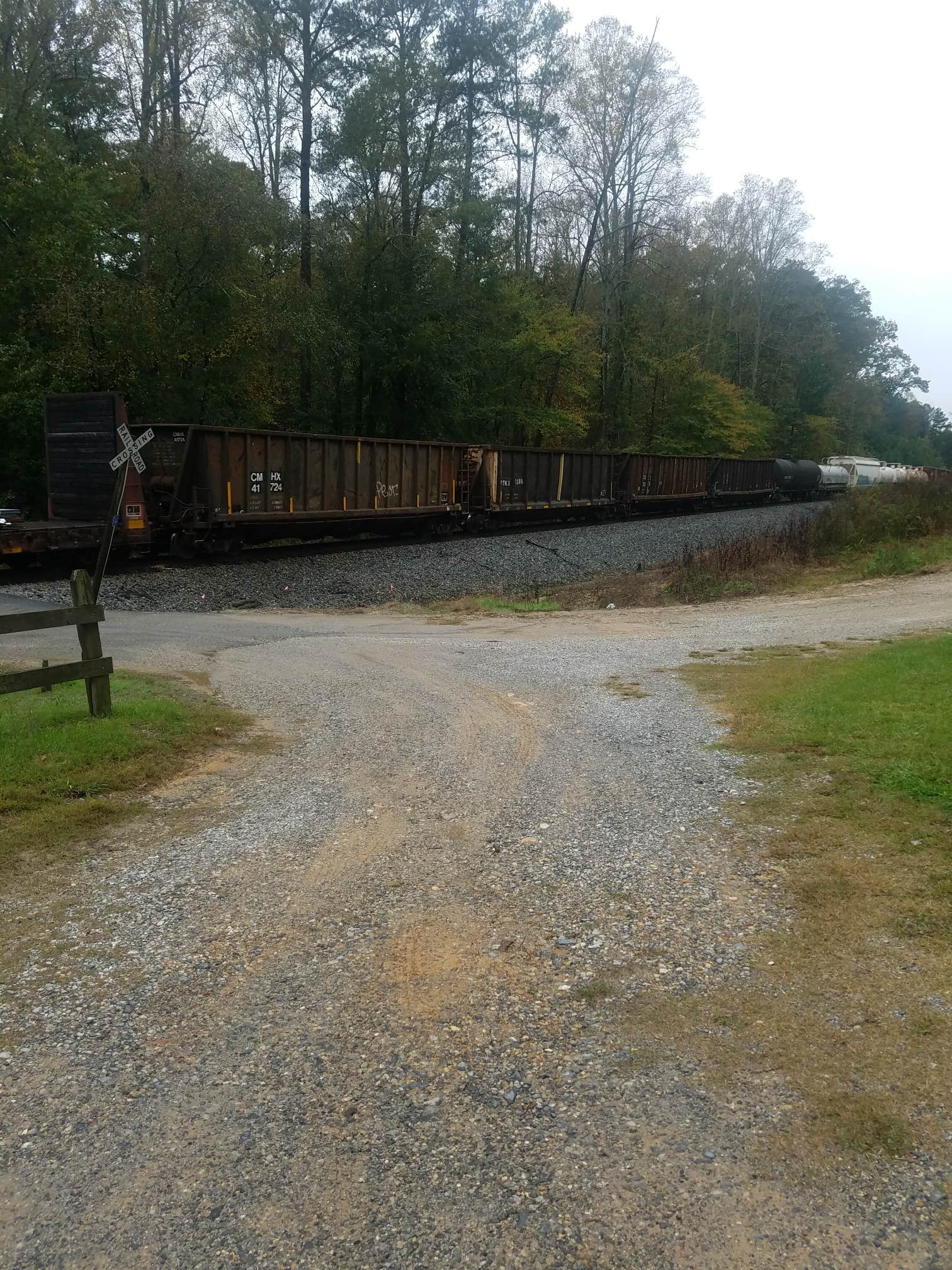 Camper-submitted photo at Pinhoti Trail Backcountry Campground — Cheaha State Park near Lineville, AL