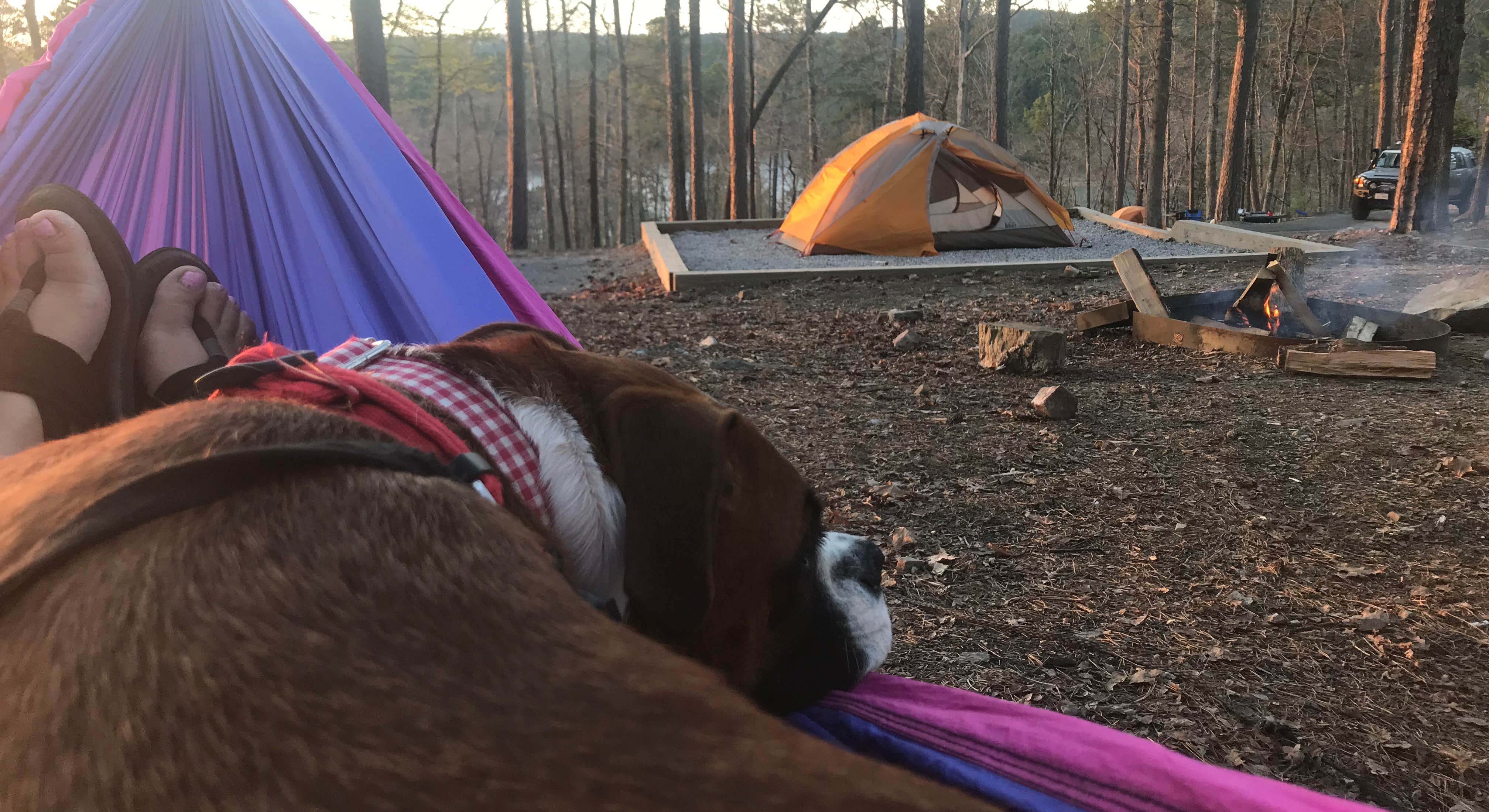 Person in Hammock Sitting by Campfire with Dog at Lake Ouachita State Park Campground