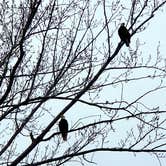 Review photo of Boardman Marina Park by Christine , January 31, 2021