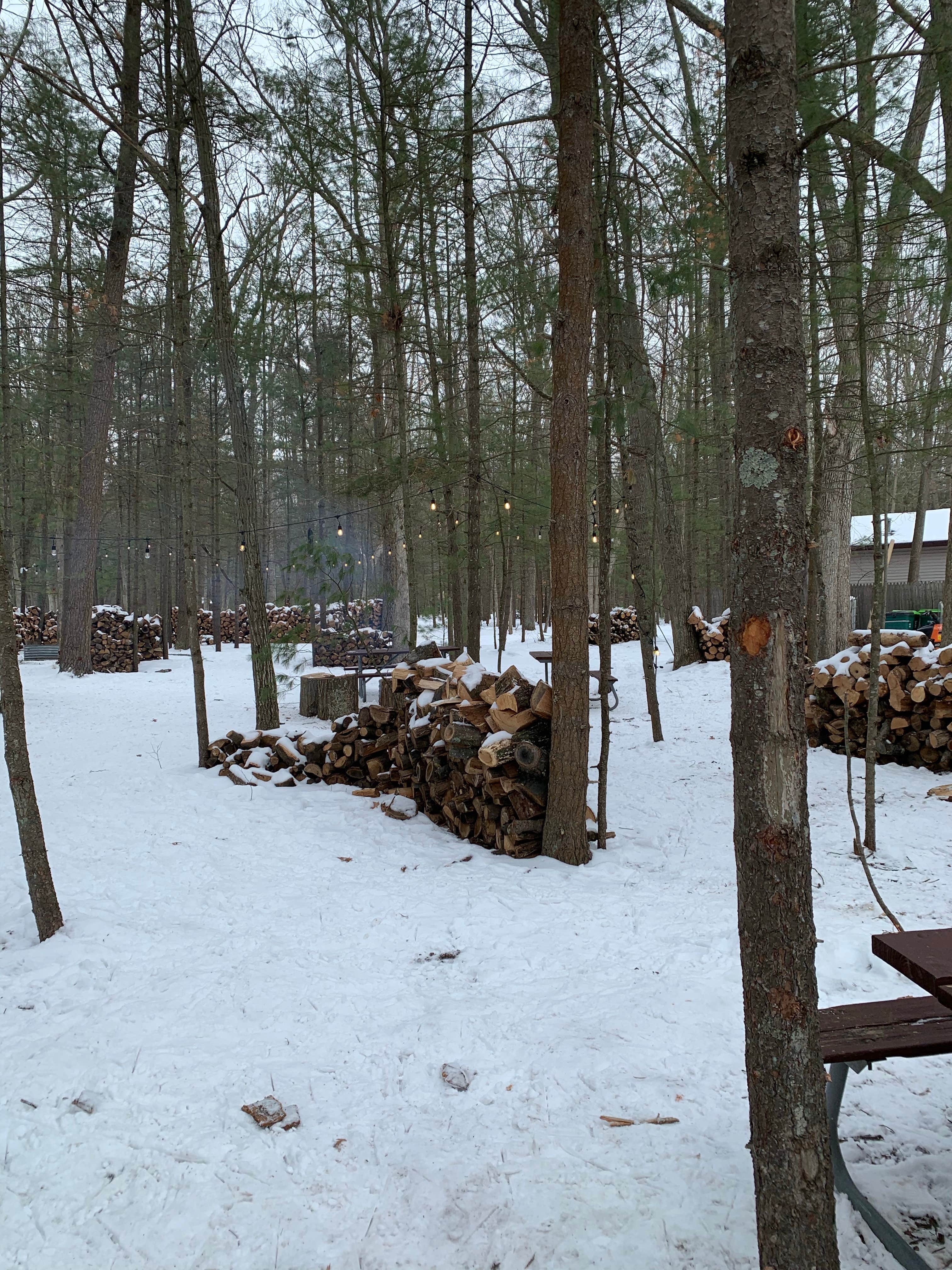 Camper-submitted photo at Lake Michigan Campground at Muskegon State Park Campground near Coopersville, MI