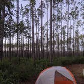 Review photo of Ocala National Forest Lake Delancy East by Courtney C., January 31, 2021