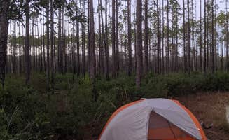 Courtney C.'s photo at Ocala National Forest Lake Delancy East in Florida