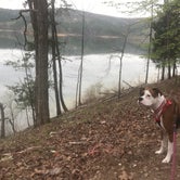 Review photo of Lake Ouachita State Park Campground by Ana A., May 28, 2018