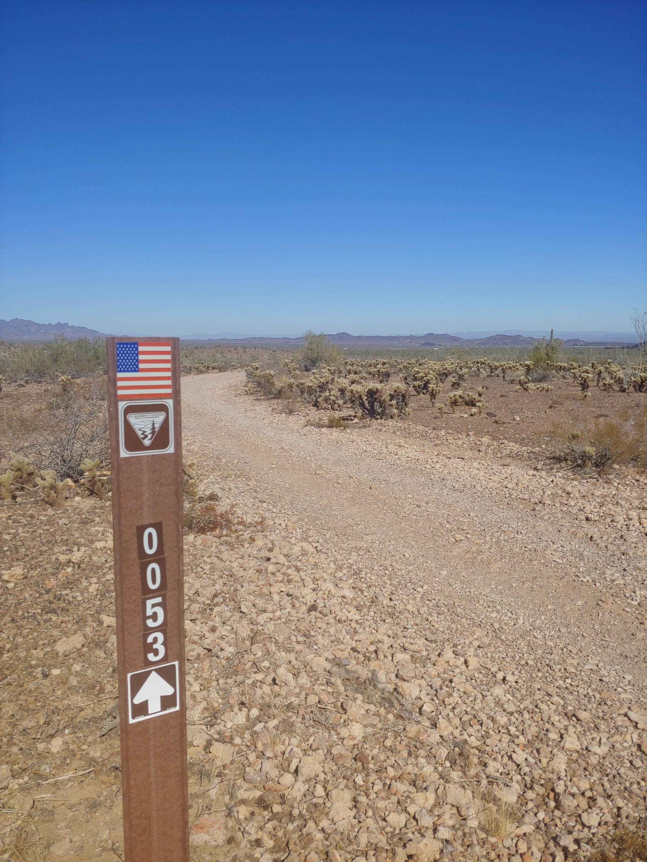 Camper submitted image from New Water Mountains Wilderness BLM - 3