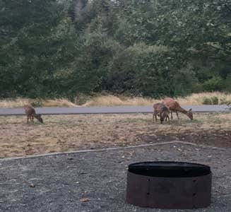 Camper-submitted photo from Hares Canyon Horse Camp — L.L. Stub Stewart State Park