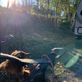 Review photo of Hares Canyon Horse Camp — L.L. Stub Stewart State Park by Shane , January 31, 2021