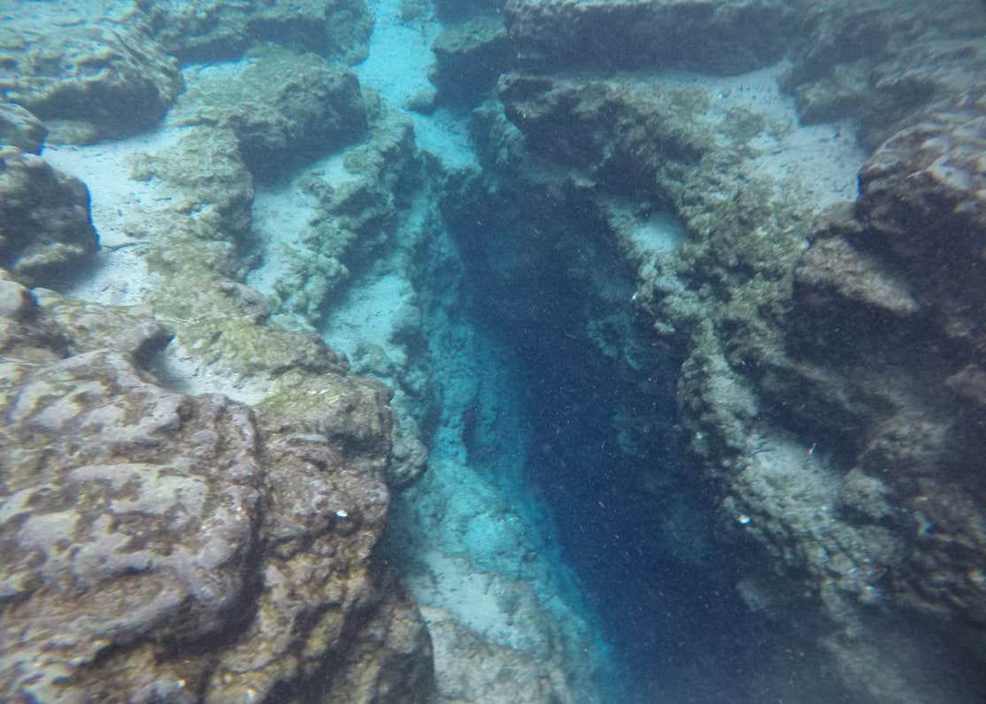 Ginnie Springs Outdoors Camping The Dyrt