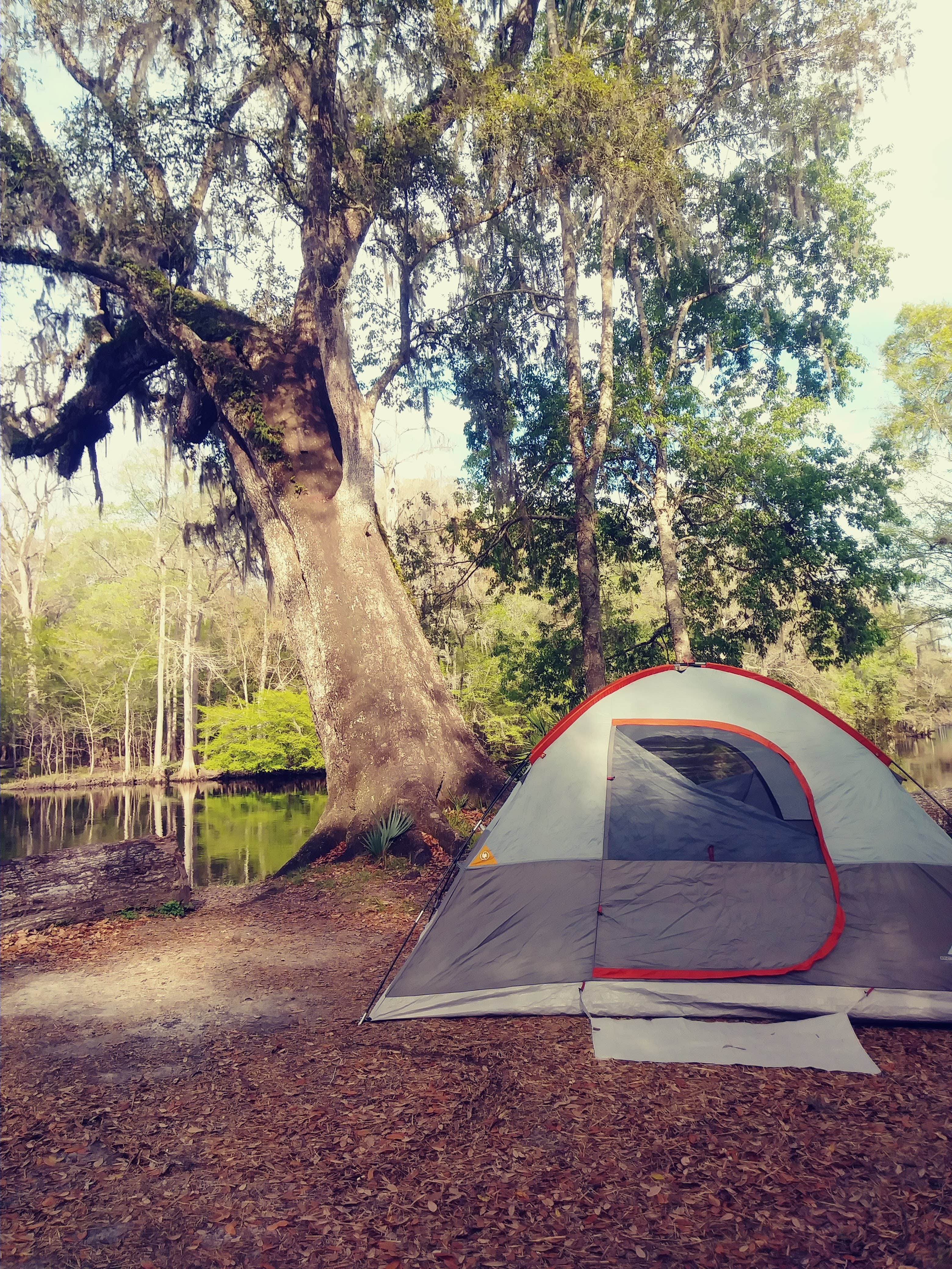 Rusty R.'s photo at Ginnie Springs Outdoors in Florida