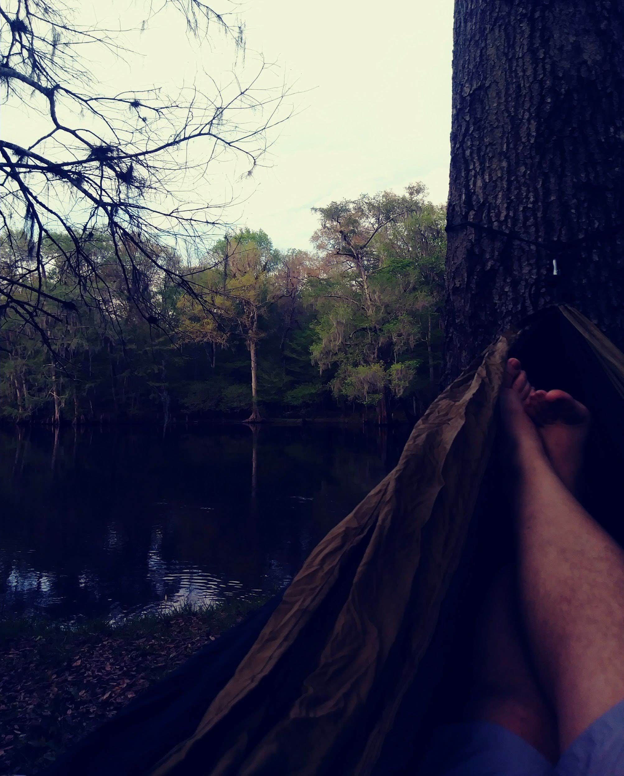 Camper-submitted photo at Ginnie Springs Outdoors near Trenton, FL
