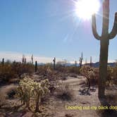 Review photo of Cactus Forest Dispersed by Shawn A., February 1, 2021