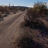 Review photo of Cactus Forest Dispersed by Shawn A., February 1, 2021