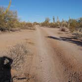 Review photo of Cactus Forest Dispersed by Shawn A., February 1, 2021