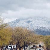 Review photo of Catalina State Park Campground by Shawn A., February 1, 2021