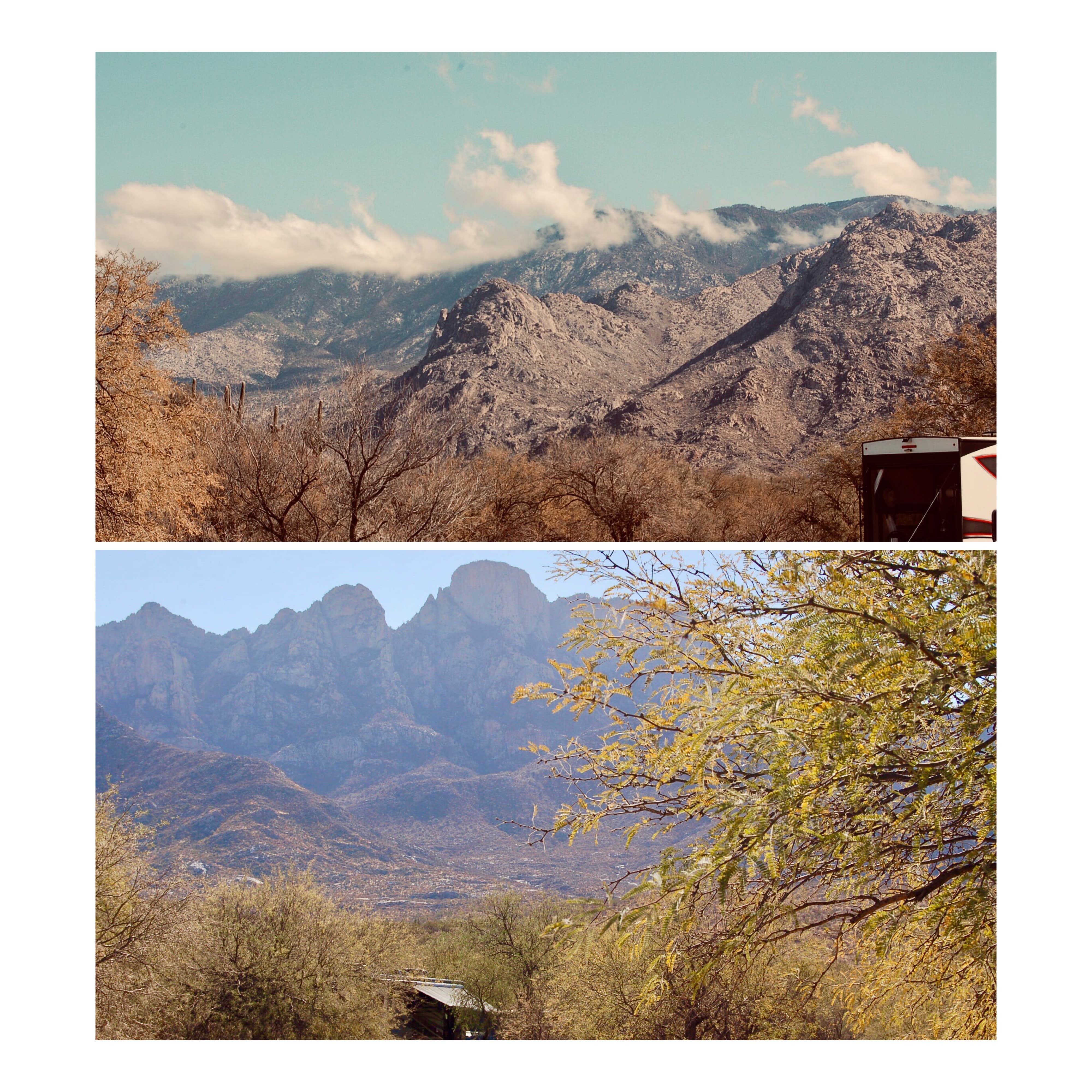 Arizona photo 2