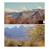 Review photo of Catalina State Park Campground by Shawn A., February 1, 2021